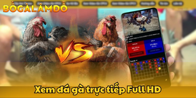 bồ gà lâm dồ