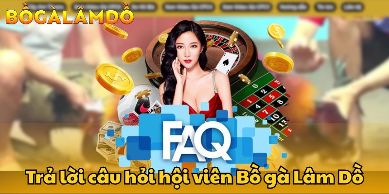 bồ gà lâm dồ