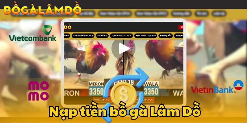 nạp tiền bồ gà lâm dồ