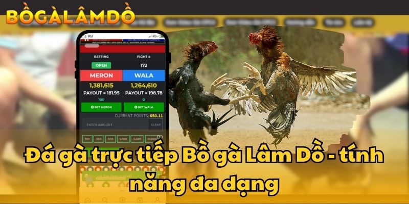 trực tiếp đá gà