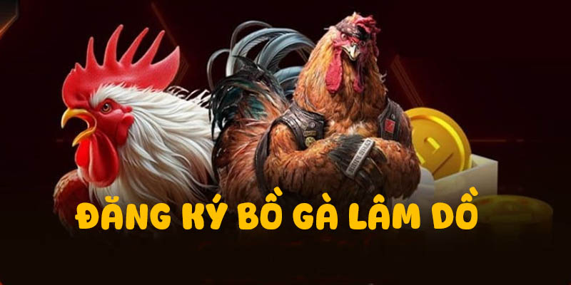 đăng ký bồ gà lâm dồ