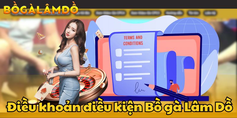 điều khoản điều kiện