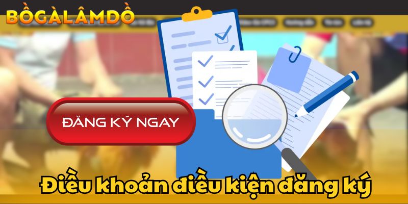 điều khoản điều kiện