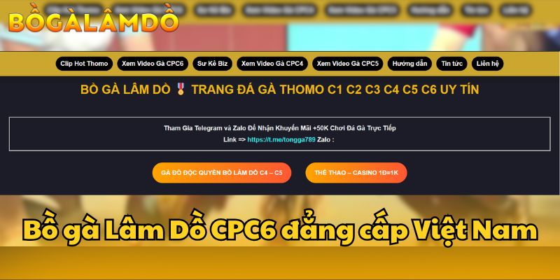 bồ gà lâm dồ