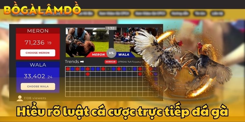 trực tiếp đá gà