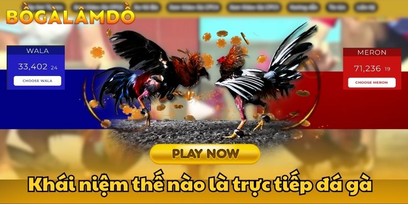 trực tiếp đá gà