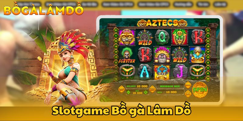 bồ gà lâm dồ