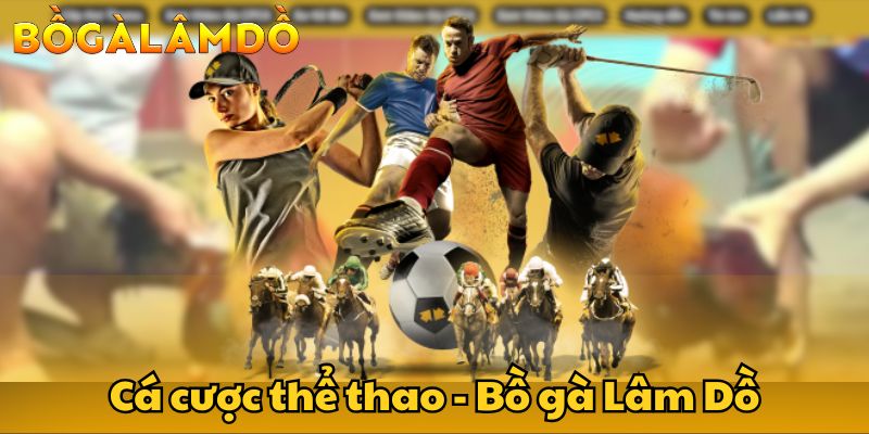 bồ gà lâm dồ